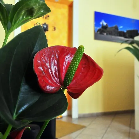 Da Ri Bed and breakfast